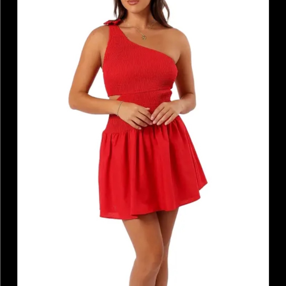 Petal & Pup Red Mini dress